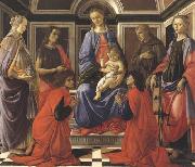Sandro Botticelli Madonna enthroned with Child and Saints (Mary Magdalene,John the Baptist,Cosmas and Damien,Sts Francis and Catherine of Alexandria) oil painting reproduction